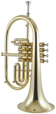 Conserto e Manutenção de Flugelhorn